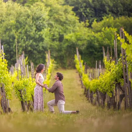 Casale Serena 1912 Farm stay *