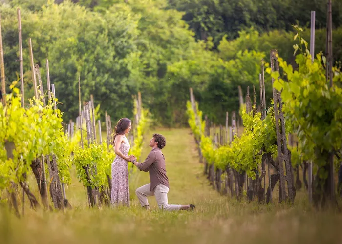 Casale Serena 1912 Farmház *